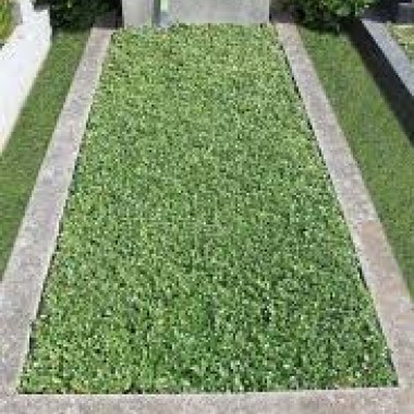 images (1)9